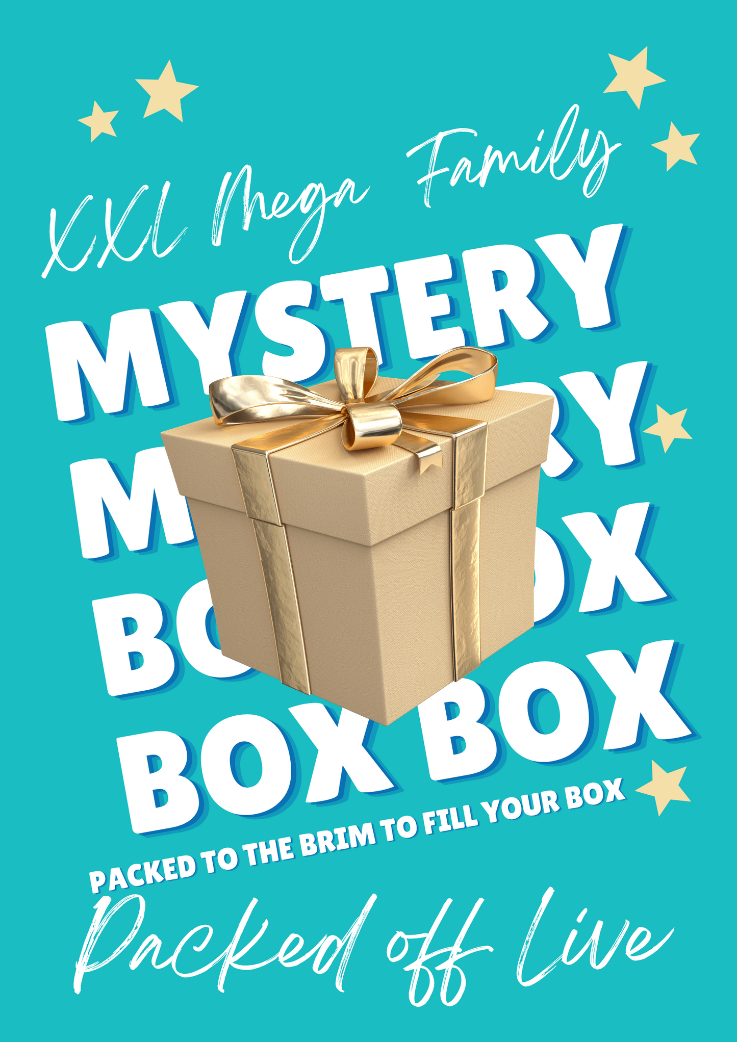 XXL MEGA Family MYSTERY Box (NOT LIVE)