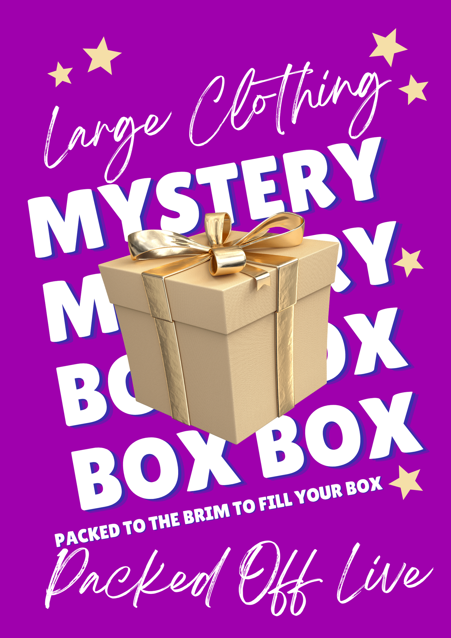 Large CLOTHING Mystery Box (NOT LIVE)