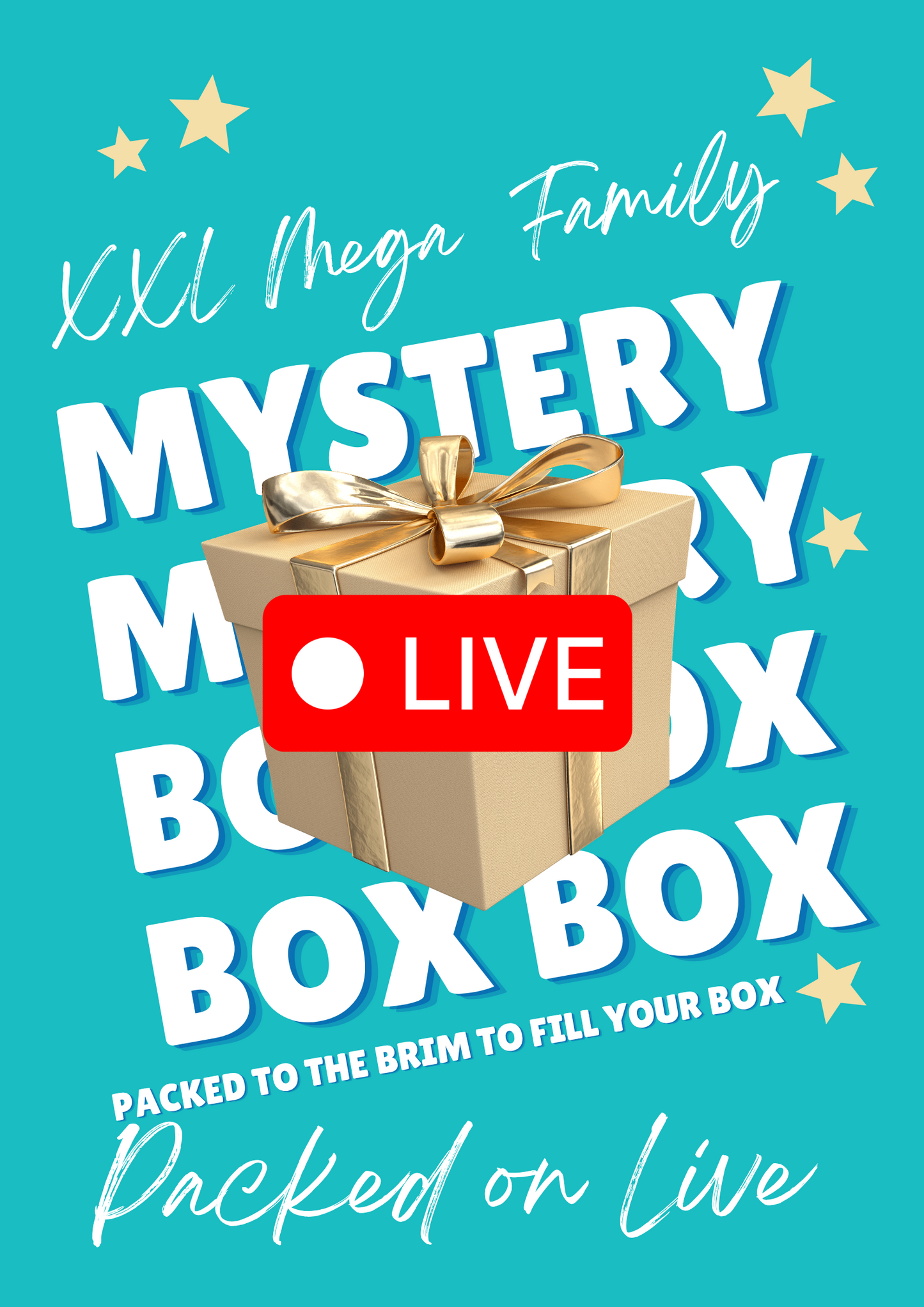 XXL MEGA Family MYSTERY Box (LIVE)