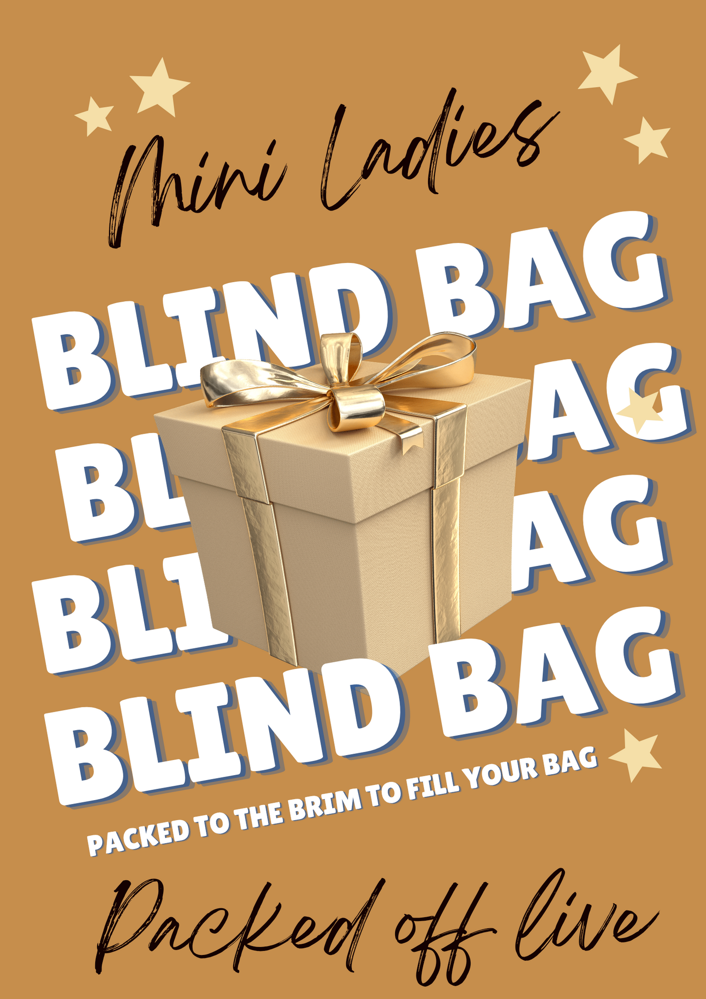 Mini LADIES MYSTERY Bag (OFF LIVE)