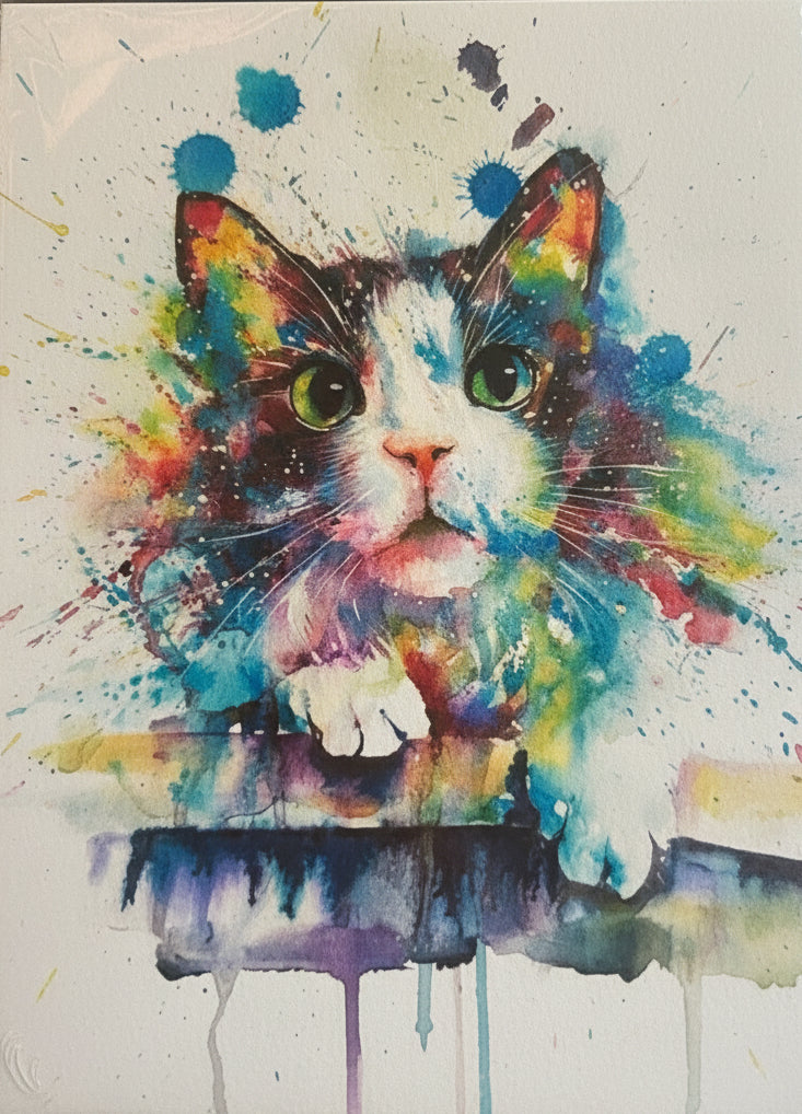 Paint By Number Art Kits
 XLarge Pick from 27 Designs