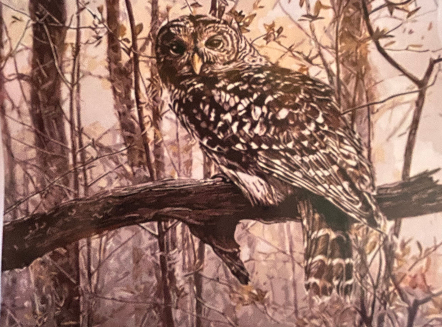 Paint By Number Art Kits
 XLarge Pick from 27 Designs