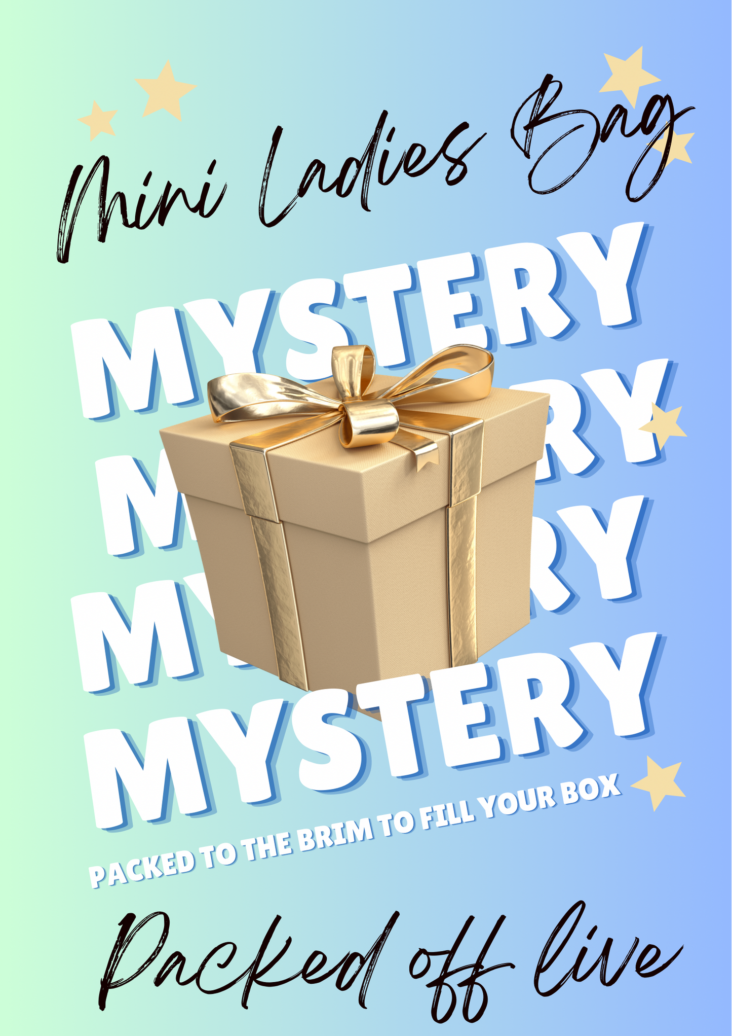 Mini LADIES Mystery FILL UP Bag (OFF LIVE)