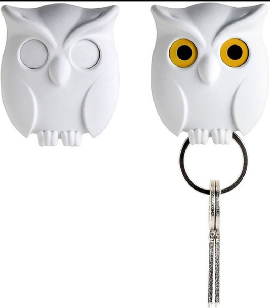 Night Owl Key Holder