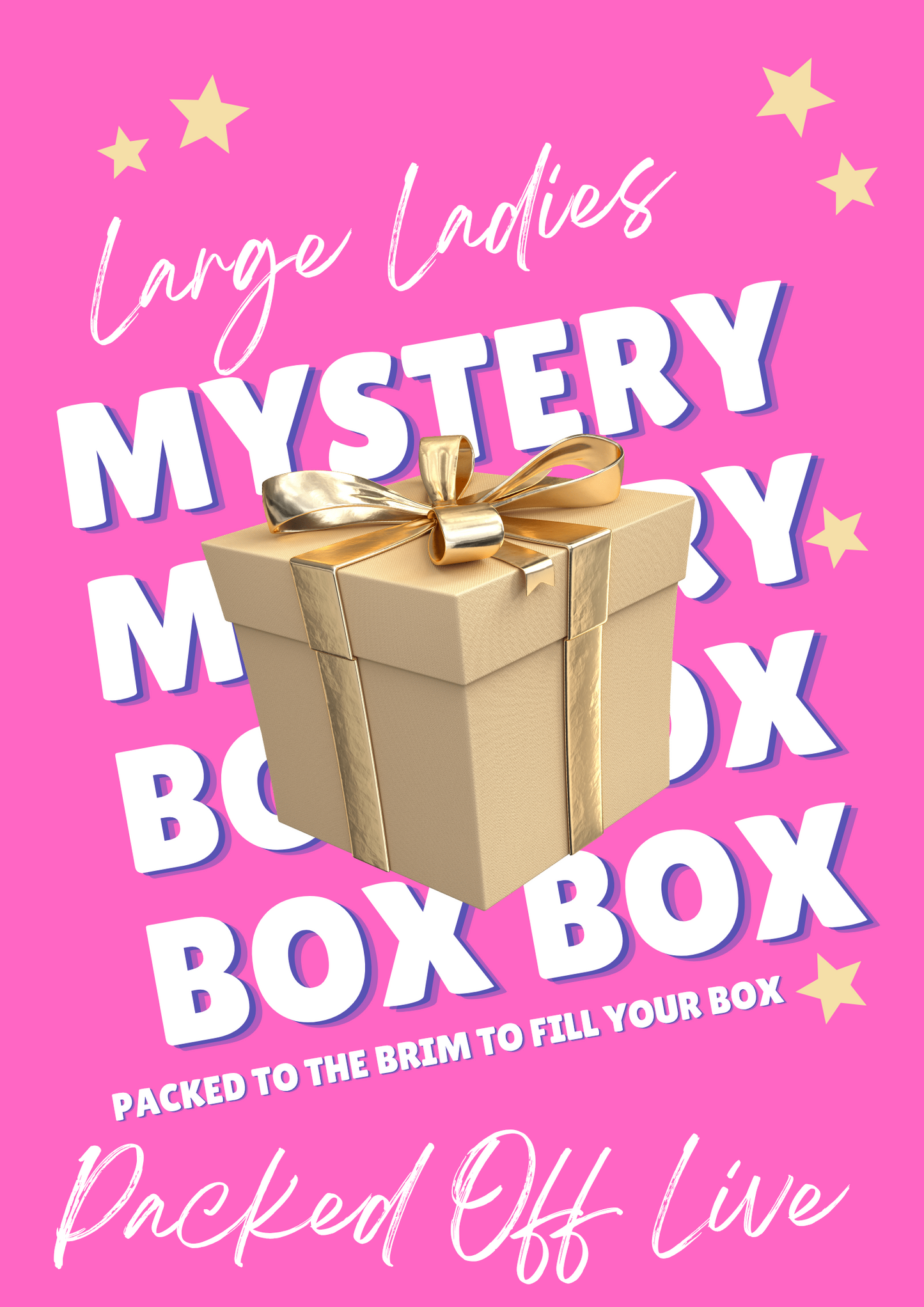 Large LADIES Mystery Box (NOT LIVE)